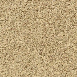 Oatmeal Raisin