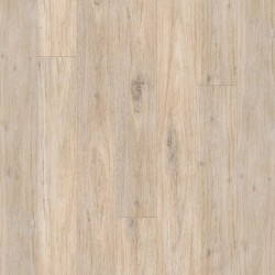 Cathedral Grove