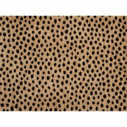 Dottie - Bronze