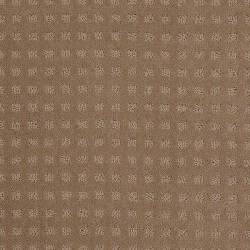 Perfect Beige