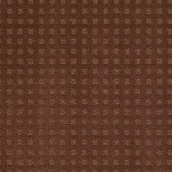 Mocha Chip