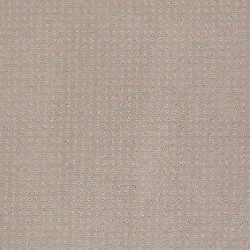 Grey Dove