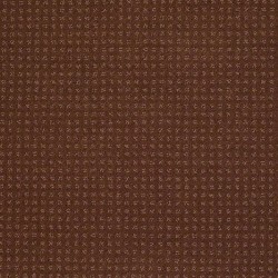 Mocha Chip