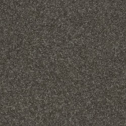 Barn Beam color swatch