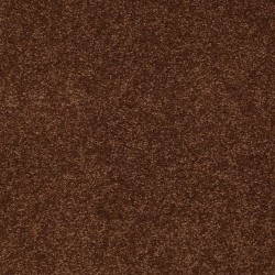Cocoa