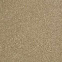 Cardboard