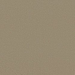 Balanced Beige
