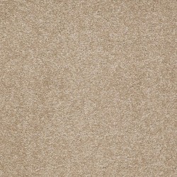 Cardboard