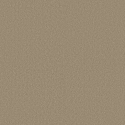 Balanced Beige