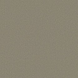 Gunmetal