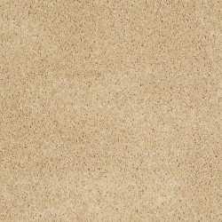 Blonde Cashmere