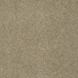 Clay Stone