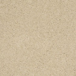 Parchment