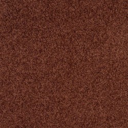 Terra Cotta