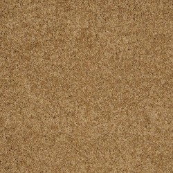 Country Wheat