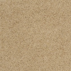 Mesa color swatch