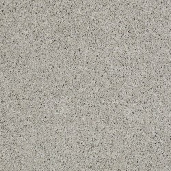 Sheer Silver color swatch