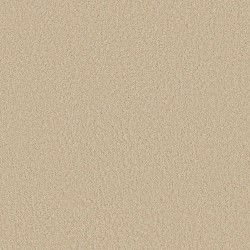 Cashew color swatch