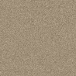 Clay Stone color swatch