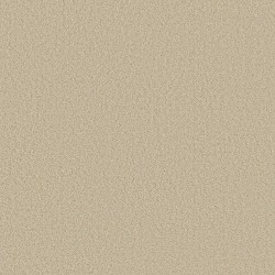 Pale Cream color swatch