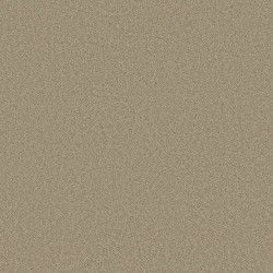 Stucco color swatch