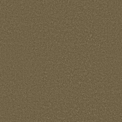 Bonsai color swatch