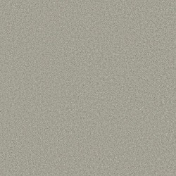 Sheer Silver color swatch