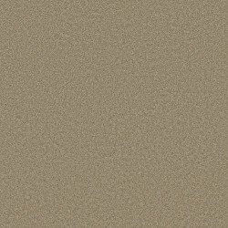 Driftwood color swatch