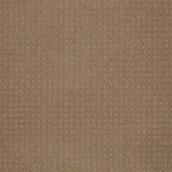 Clay Stone