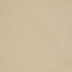 Parchment