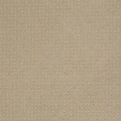 Stucco