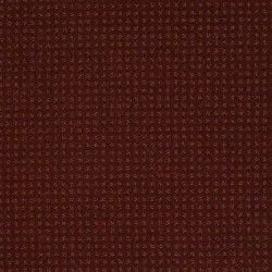 Terra Cotta