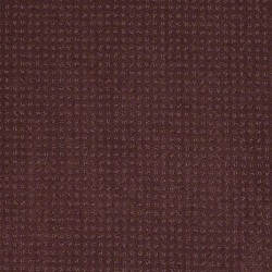 Plum Delight