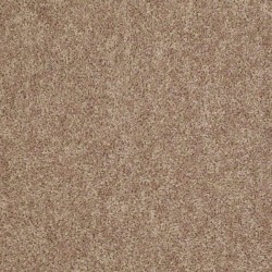 Sahara Buff