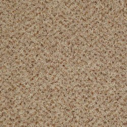 Mocha Malt