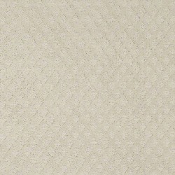 Pace Setter - Canvas