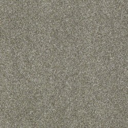 Silver Sage