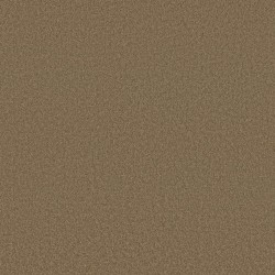 Mojave