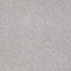 Silver Charm