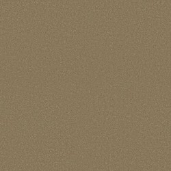 Sahara