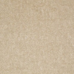 Practical Beige