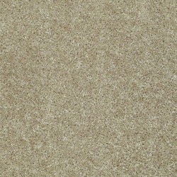 Taupe Stone