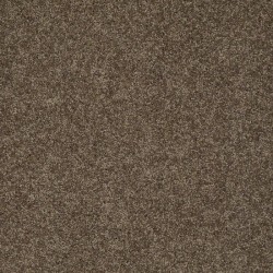 Weathered Wood