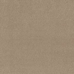 Clay Stone