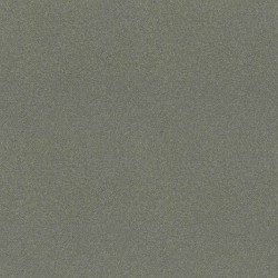Silver Sage