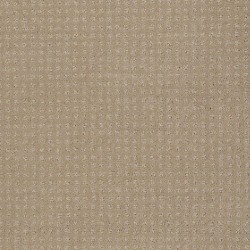 Clay Stone