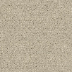 Textured Canvas