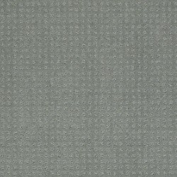Silver Sage
