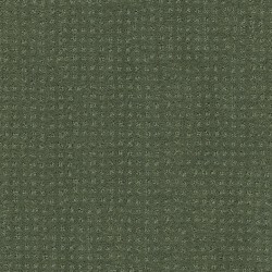 Bay Laurel