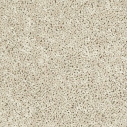 Pebble